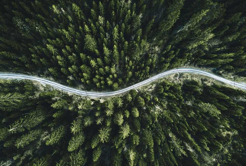 Et savværk på nye eventyr